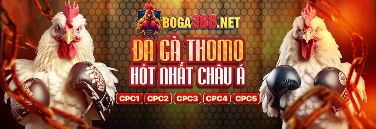 Người đang phân tích chiến lược cá cược hiệu quả tại FF66